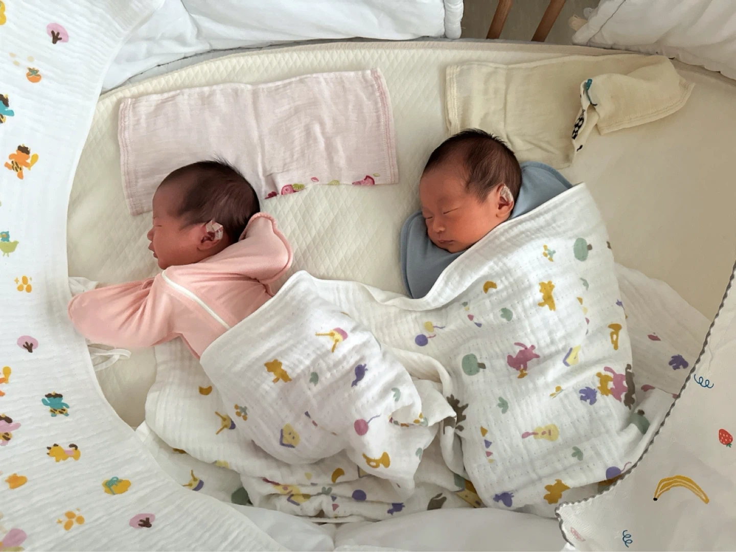 2개월 쌍둥이 남매 돌봐주실분 찾습니다!