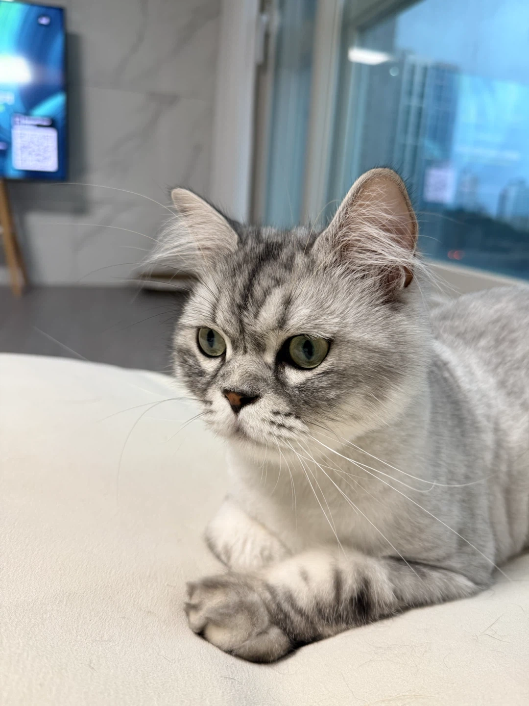 이지더원 9단지 가사도우미 구해요