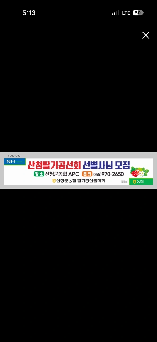산청딸기공선출하회에서 성실한 남작업자님을 모집합니다