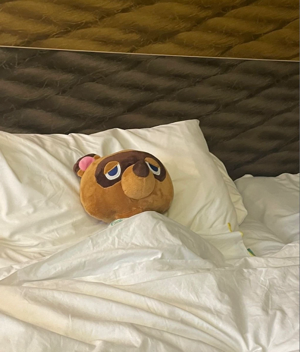 다이어트 식단 체크해주실 분!