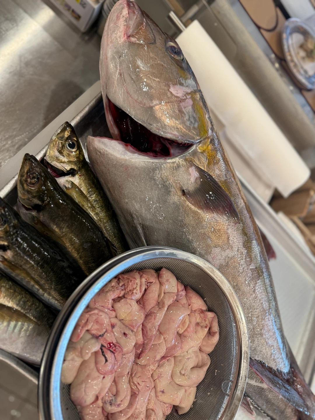 마와루스시에서 함께 꿈을 키워나갈 팀원 모집합니다.