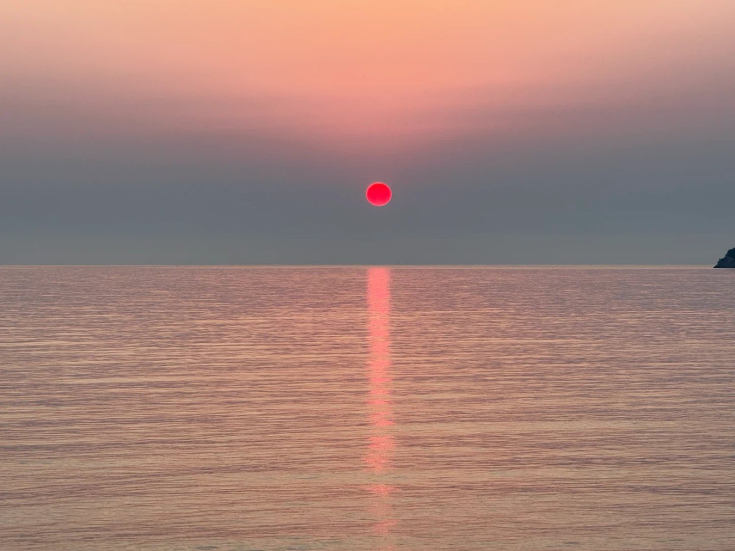주방 보조 , 설거지 구합니다