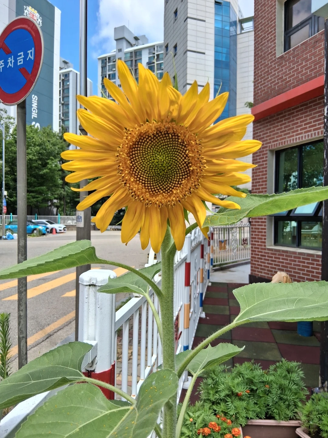 보육교사모집