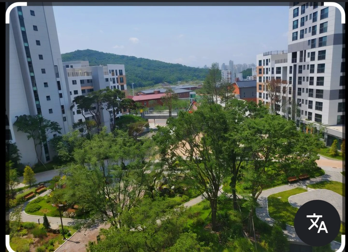 고3 수능 단기간 영어 선생님을 구합니다