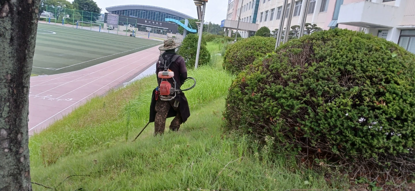 조경 경력자 한분 구해요 2년이상