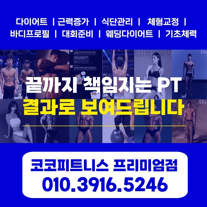 코코피트니스 견습, 코치 모집합니다