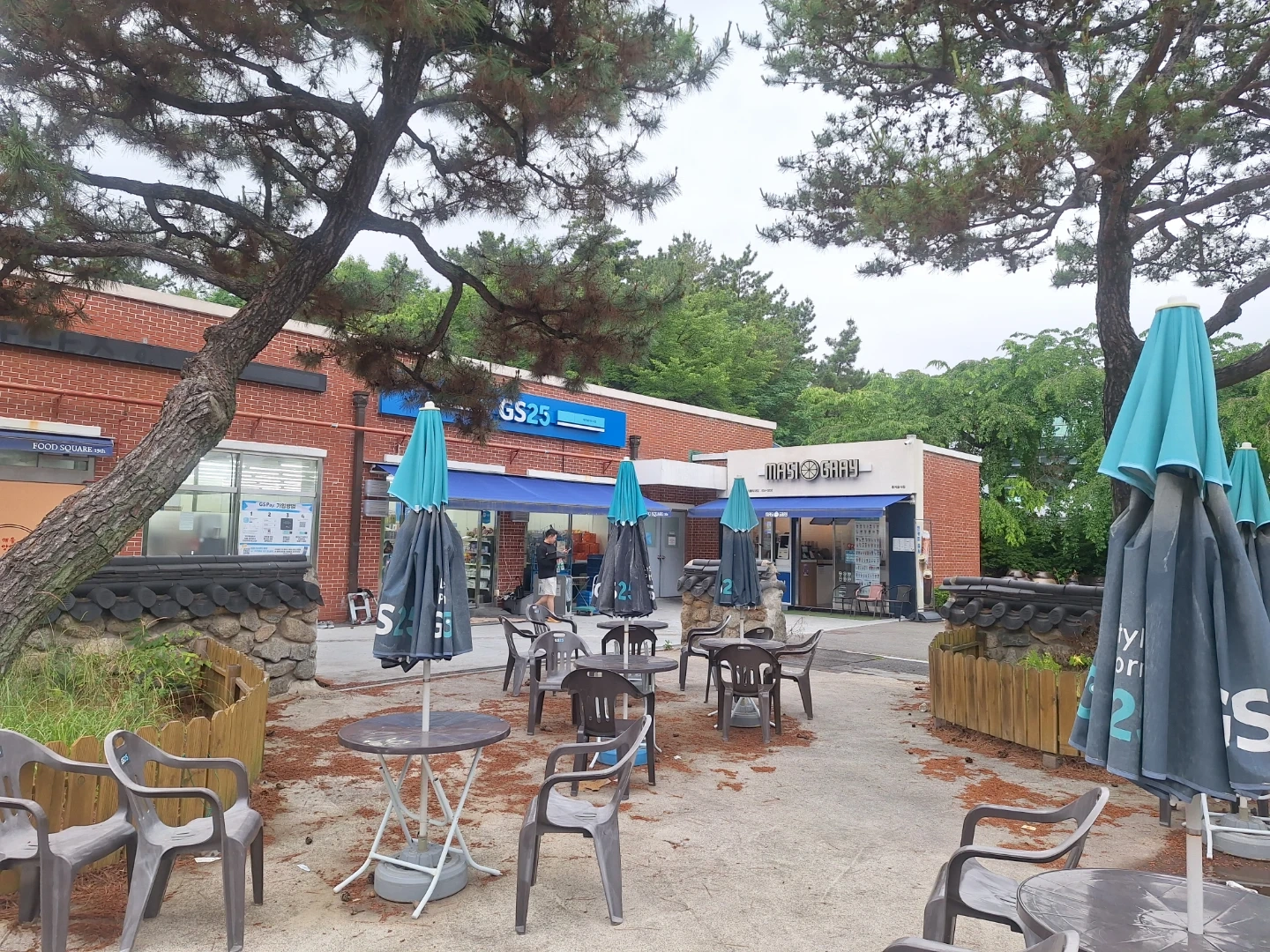 하양 대가대 9월 10일 공용세척 알바구함