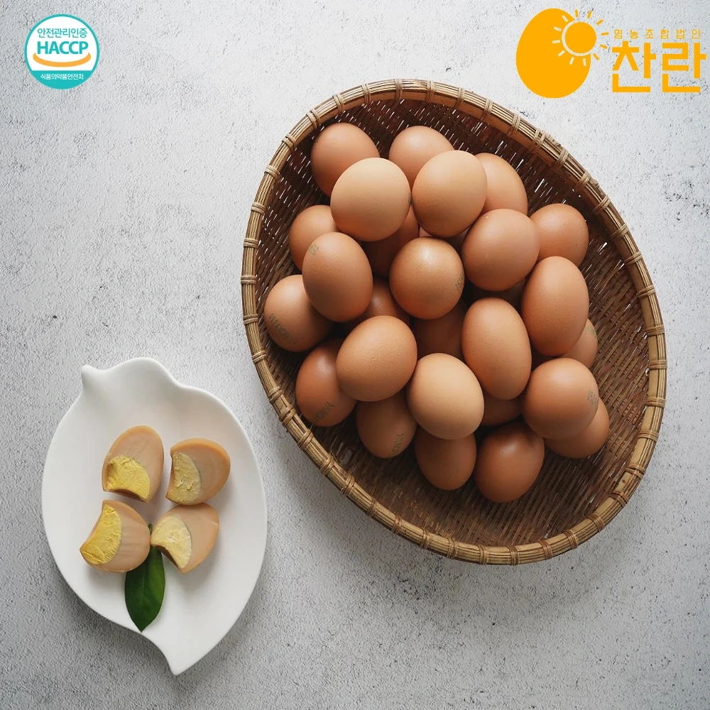 찬란 계란 선별, 포장 아르바이트 구합니다.