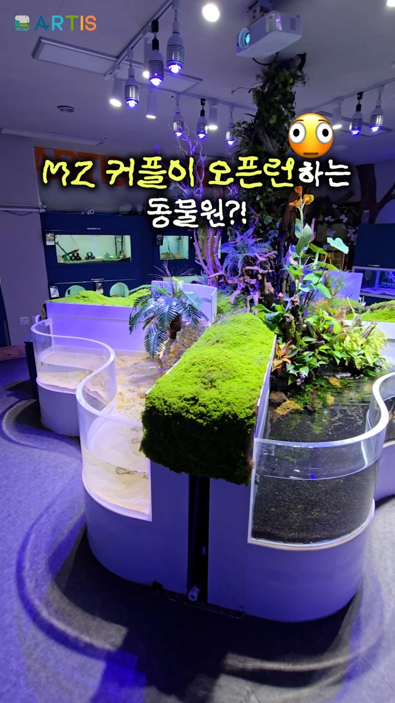 아르티스 아쿠아리움 체험 운영 보조