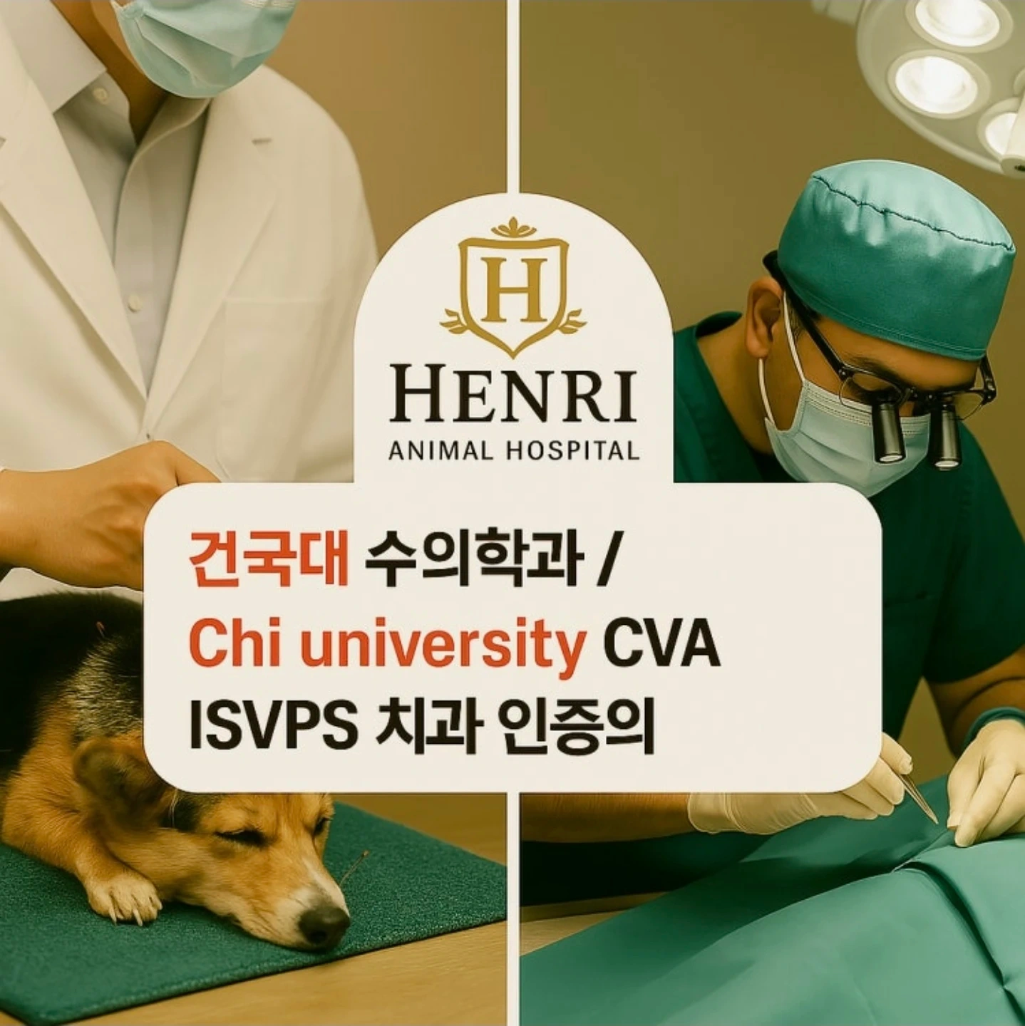 오후 타임 알바 구인