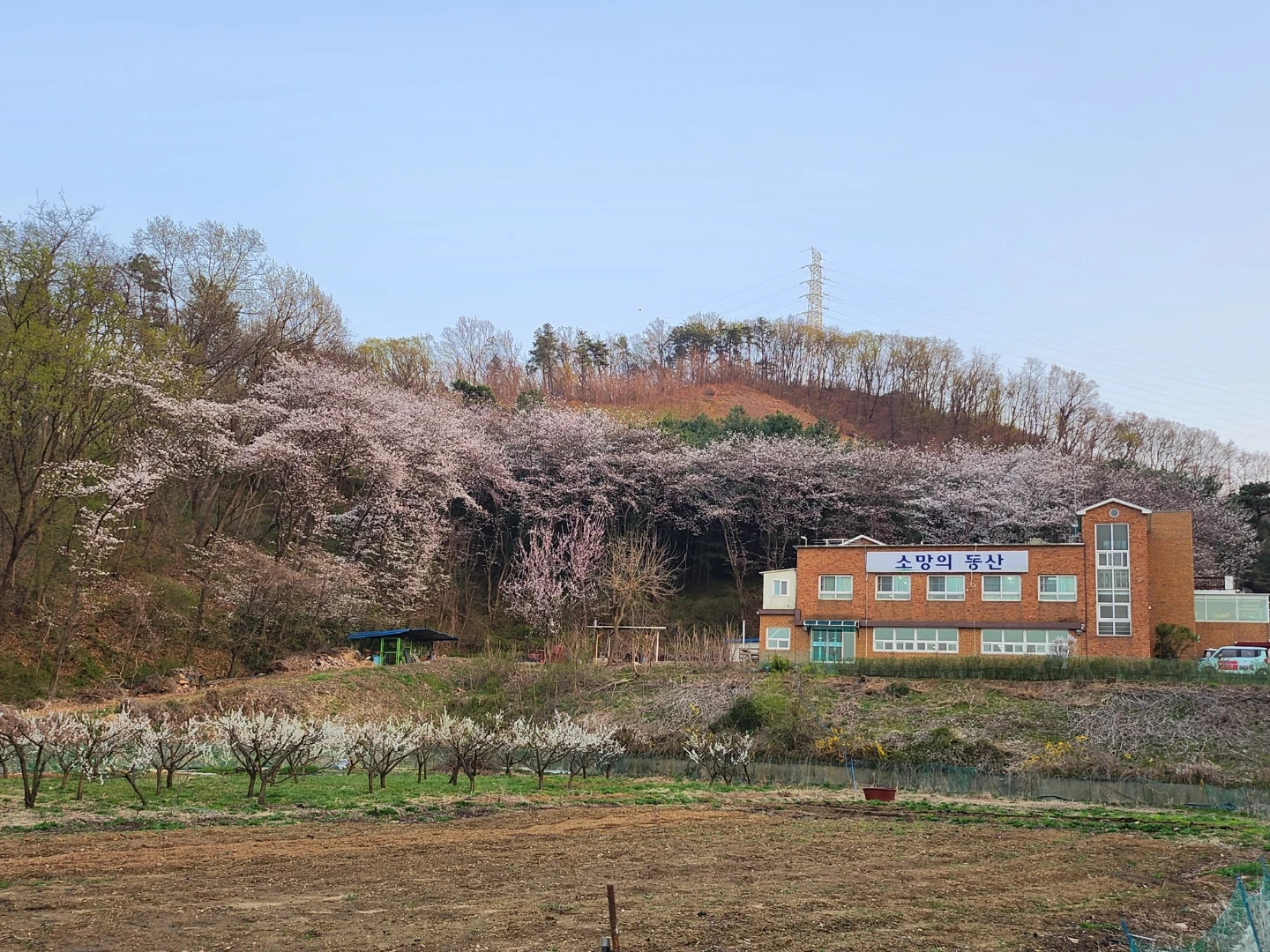 요양보호사 구함