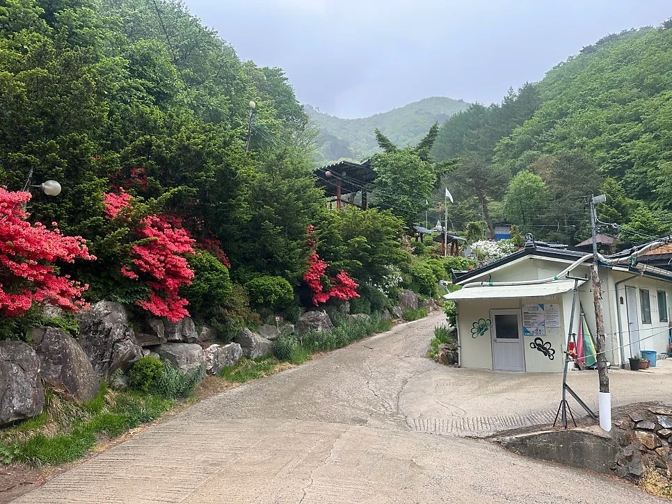 (입주) 공양주 보살. 이모님