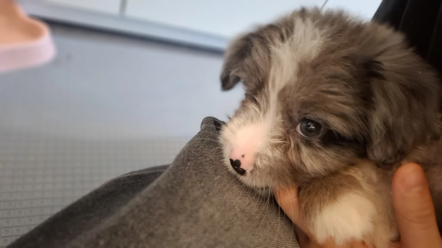 새벽에 2~3시간만 아이 봐주실분 구해요...ㅠㅠ