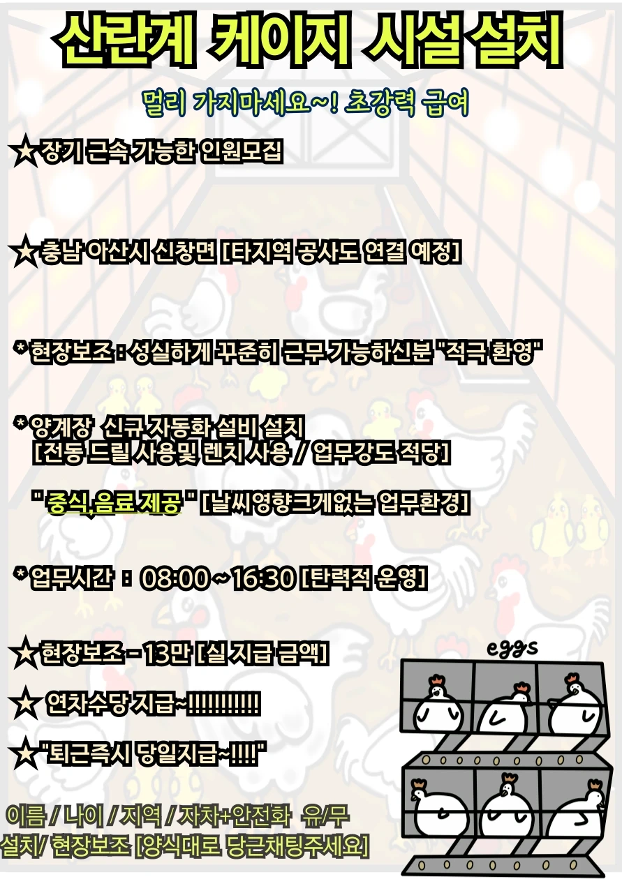 (당일실지급13만!) 산란케이지/설치/조립 인원모집