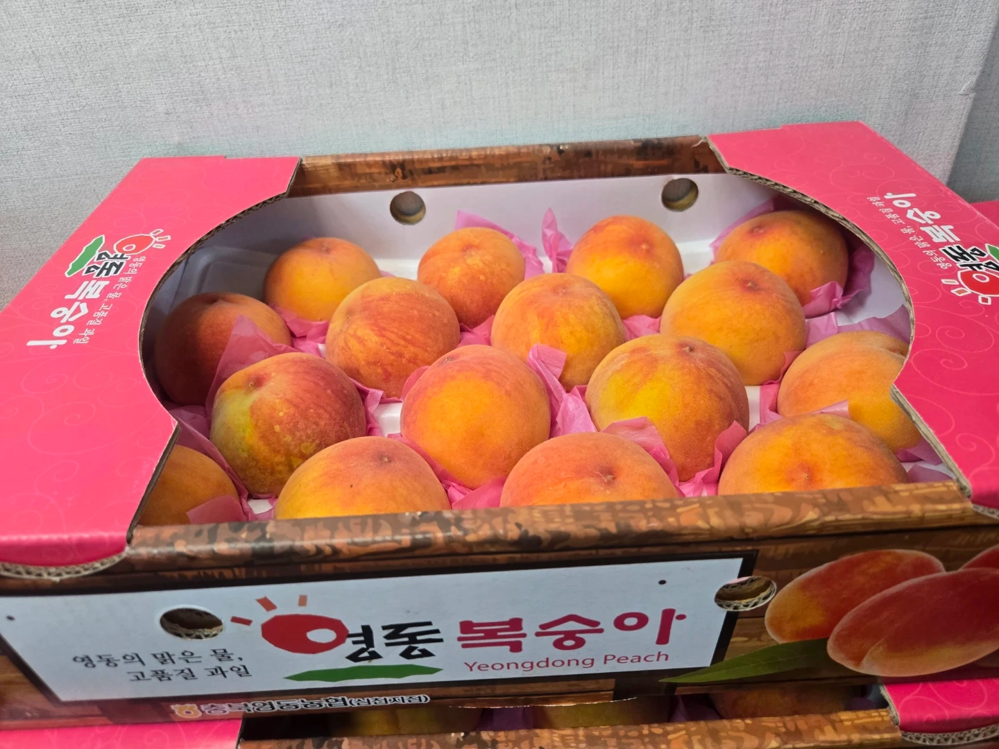 노점과일판매알바급구!!!