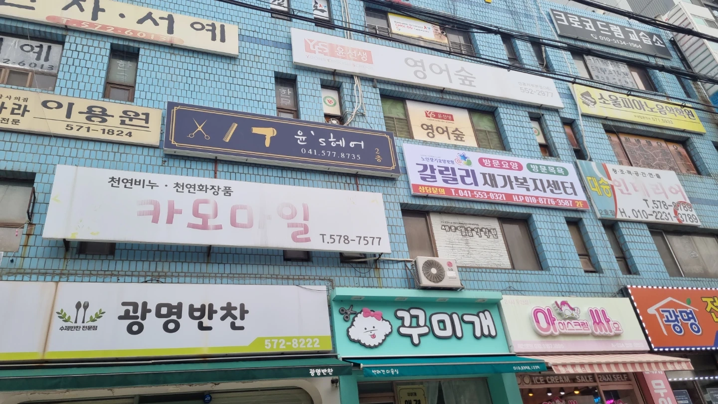 요양보호사 구함