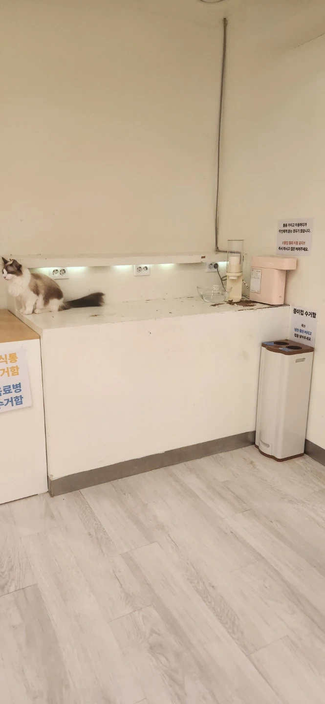 부분 철거 및 스탠판 부착