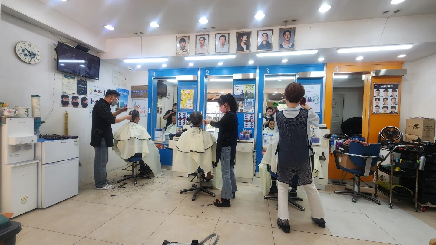 블루클럽 서귀포점 헤어디자이너 3개월 구인