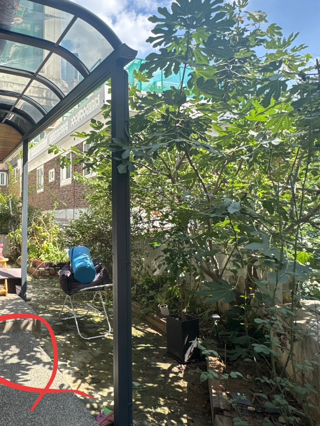마당 풀 정리, 가지치기 도와 주실 분... ㅜㅜ