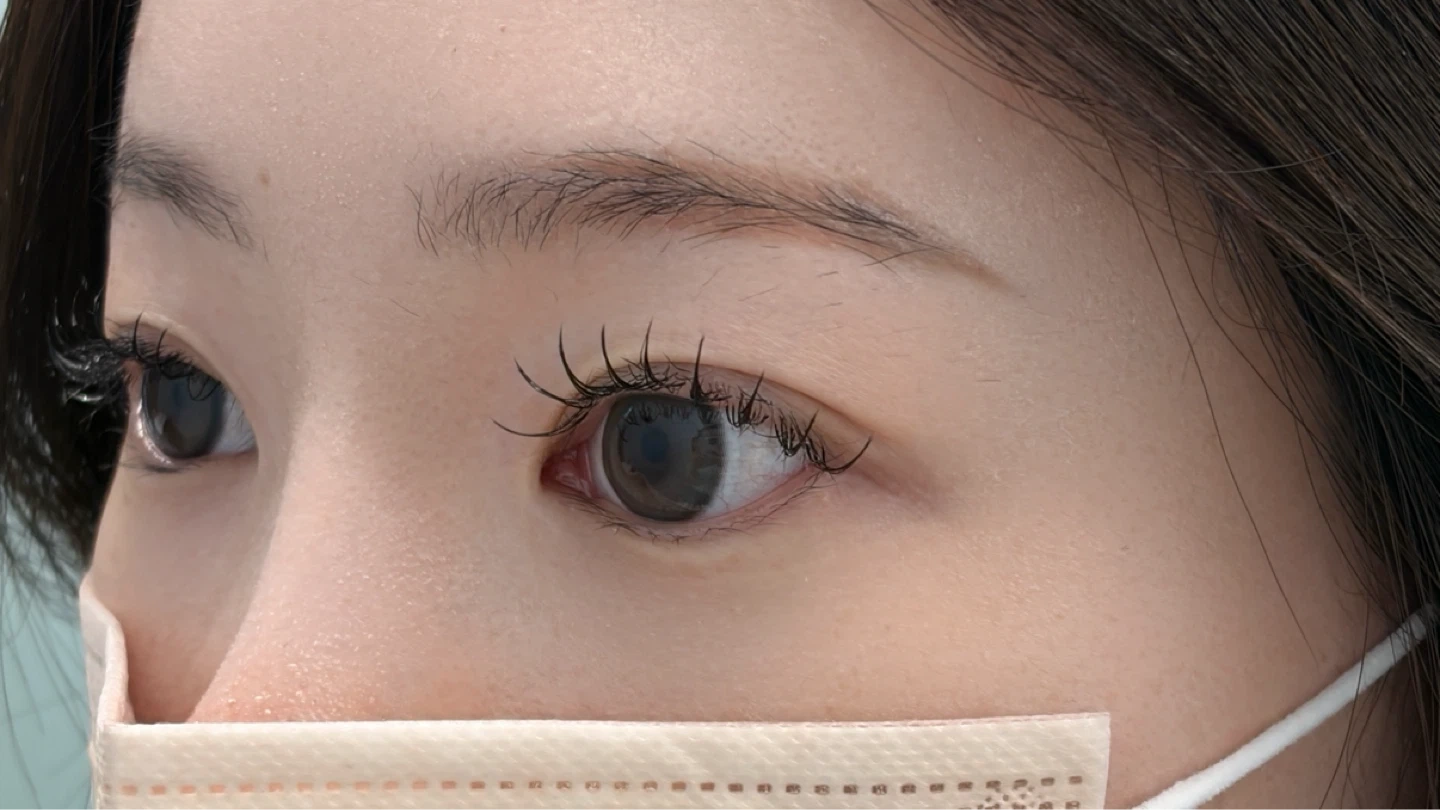 속눈썹 연장 모델 모집합니다