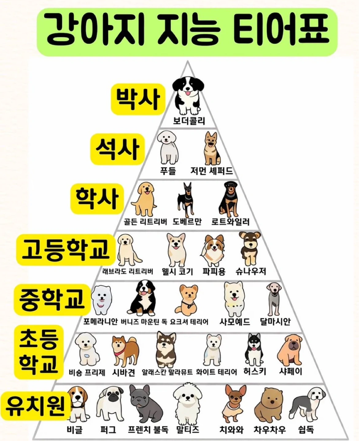 성인 영어 수능 대비 과외 선생님 구해요