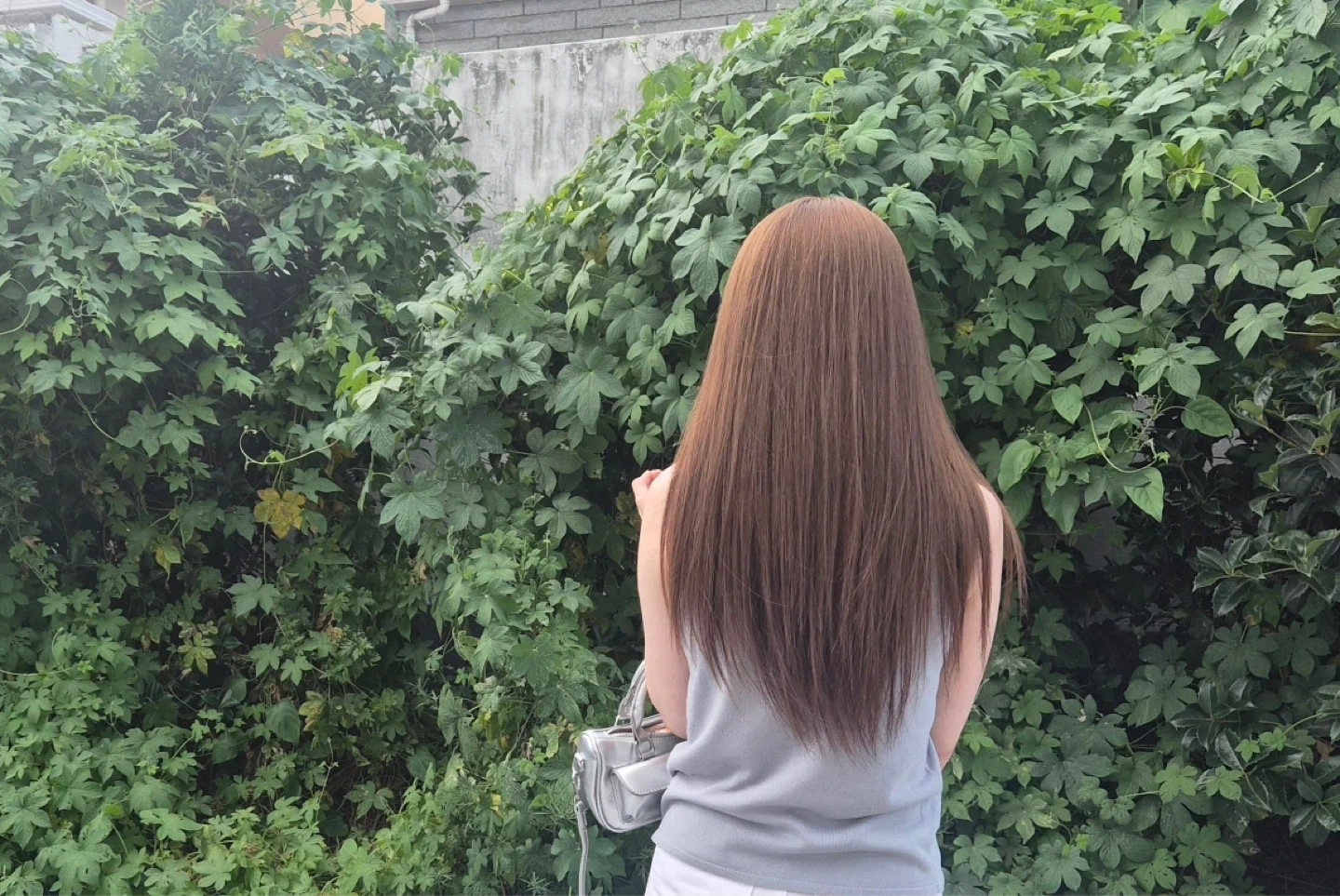하이레이어드컷 + 탈색없이 애쉬브라운 모델모집:)