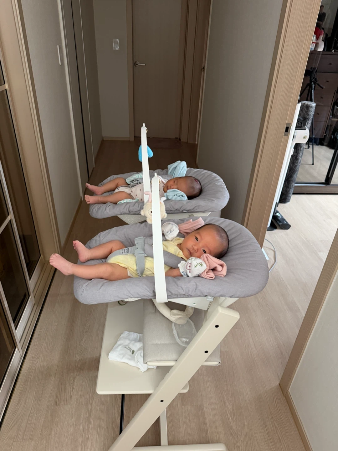 2개월 쌍둥이 아가 돌봐줄 시터 이모님 구해요