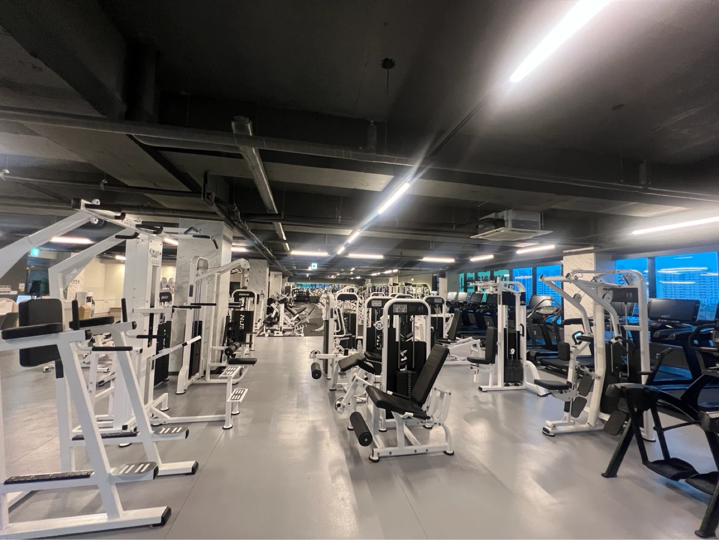 어베인휘트니스조촌점 트레이너모집