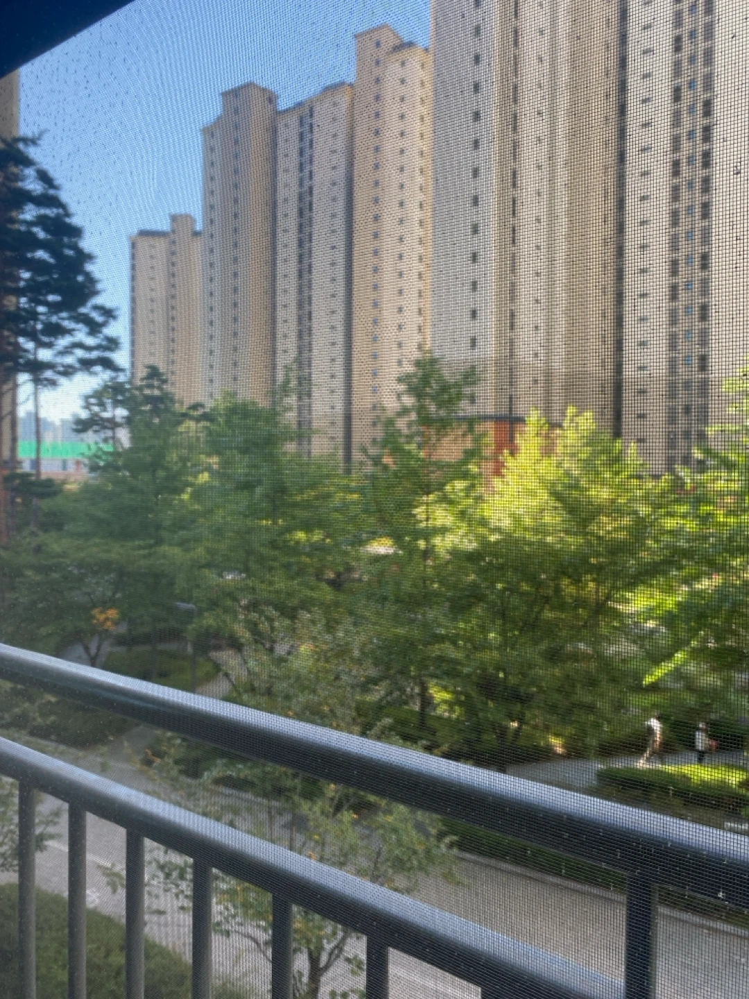 주2회 정기청소 도와주실분 찾습니다