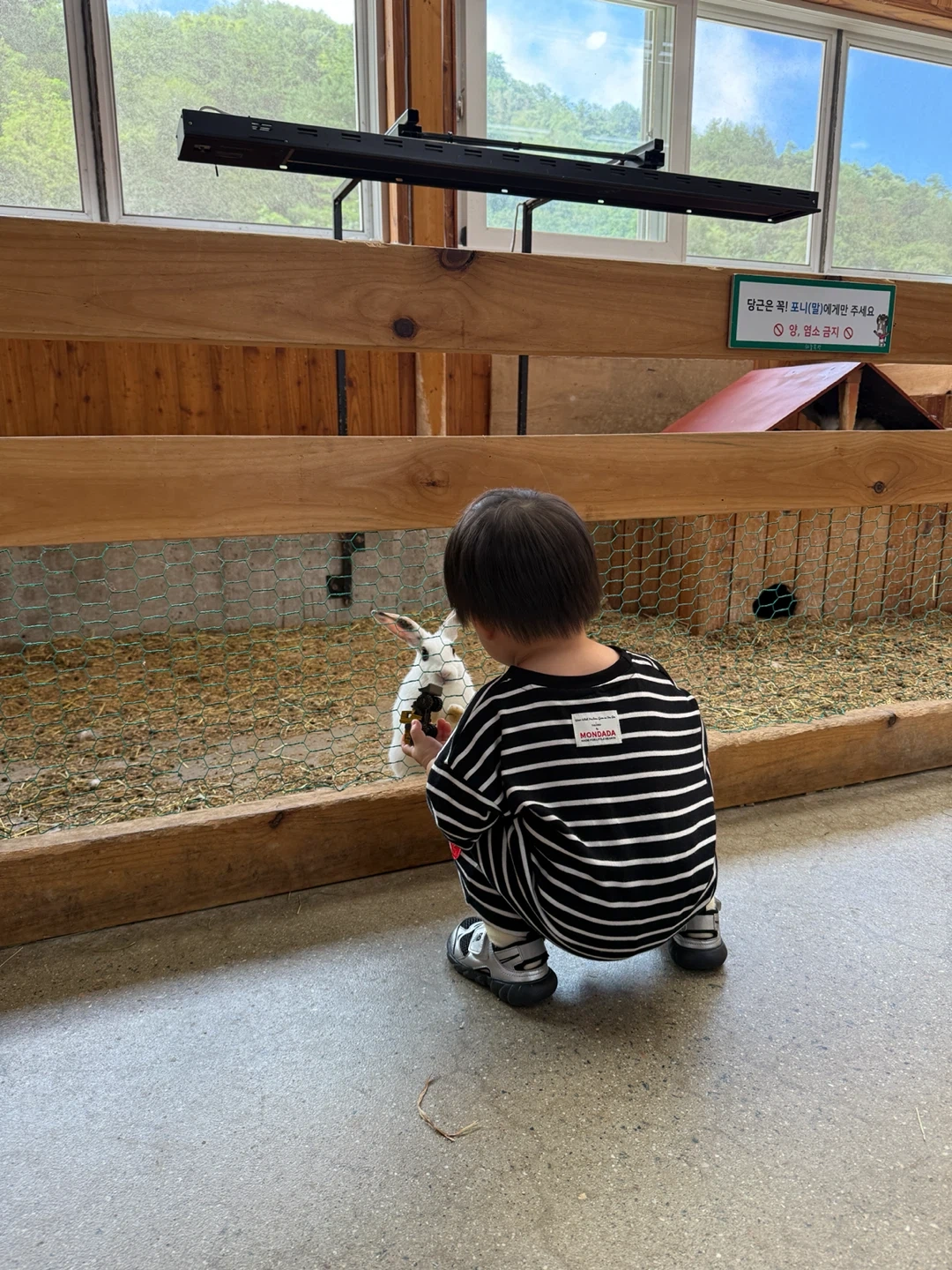 21개월 아들둥이 등하원 시터 모십니다