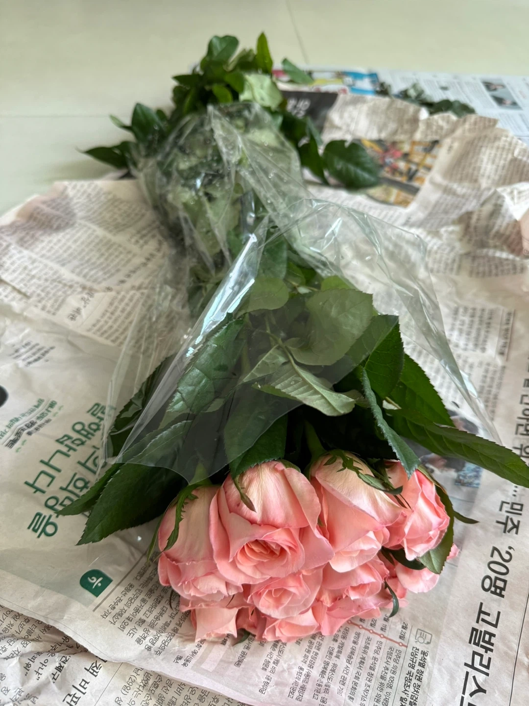 청소이모님(가사도우미) 구합니다