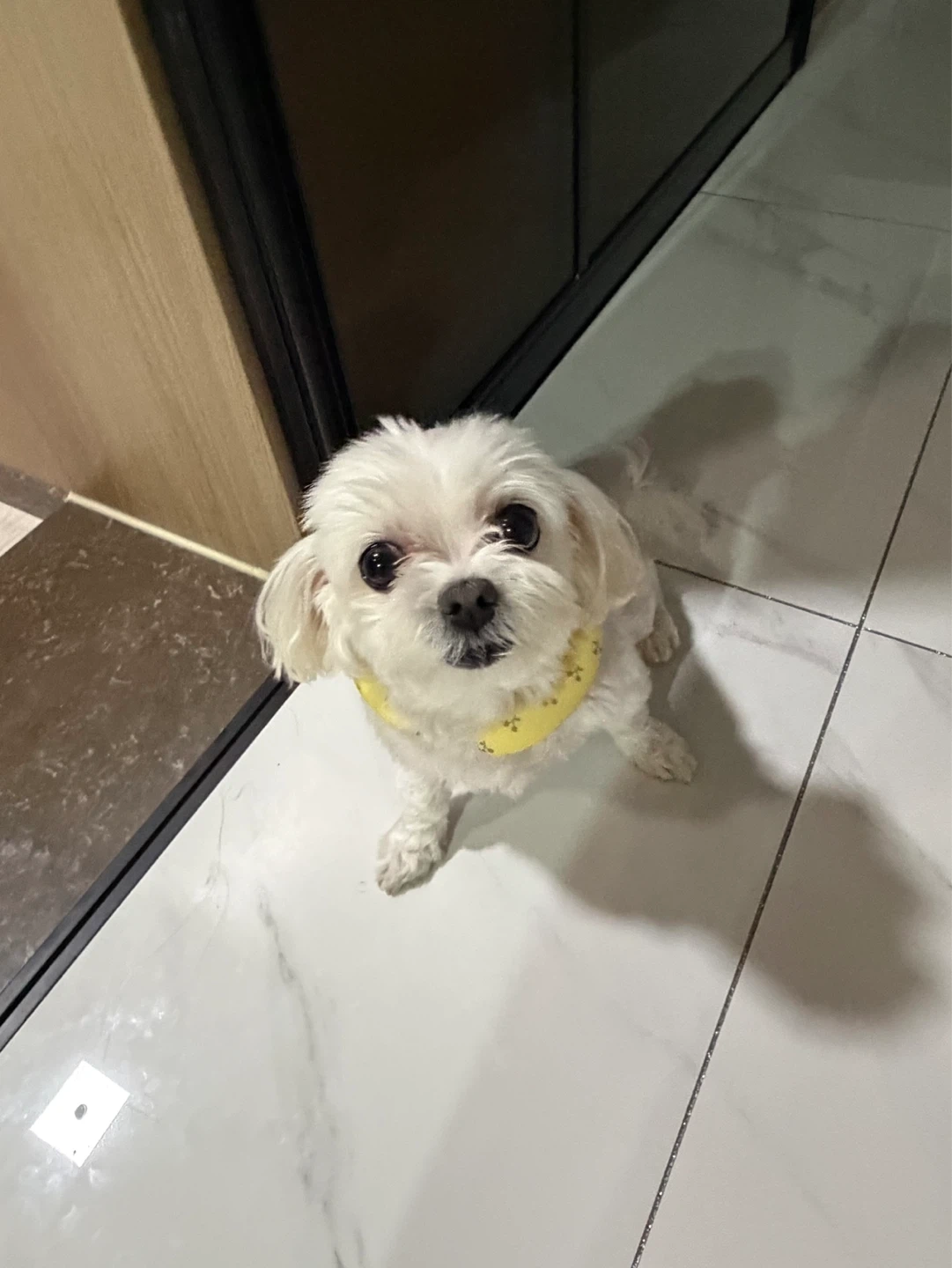평일에 집 정리해주실 분 계실까요?