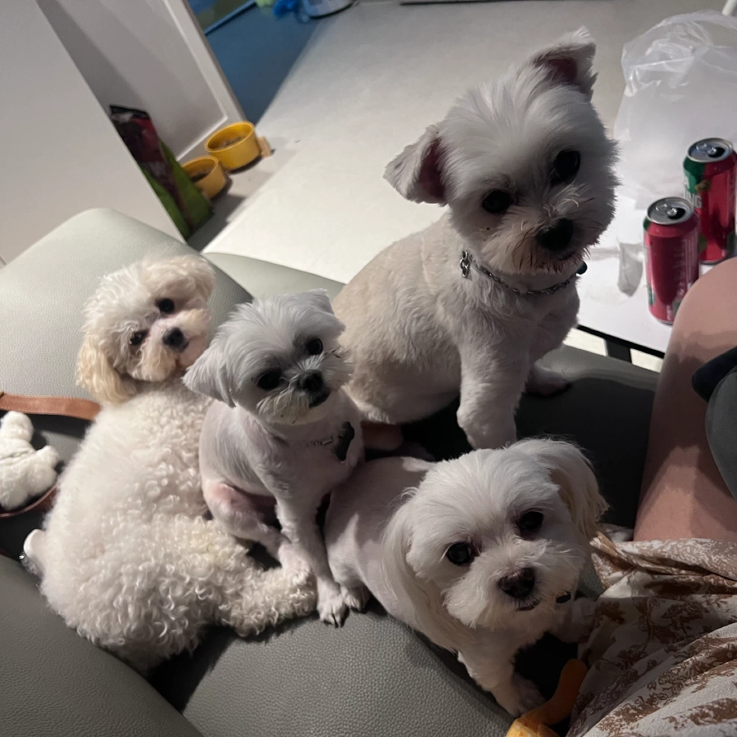 안녕하세요 이모님 구합니다!