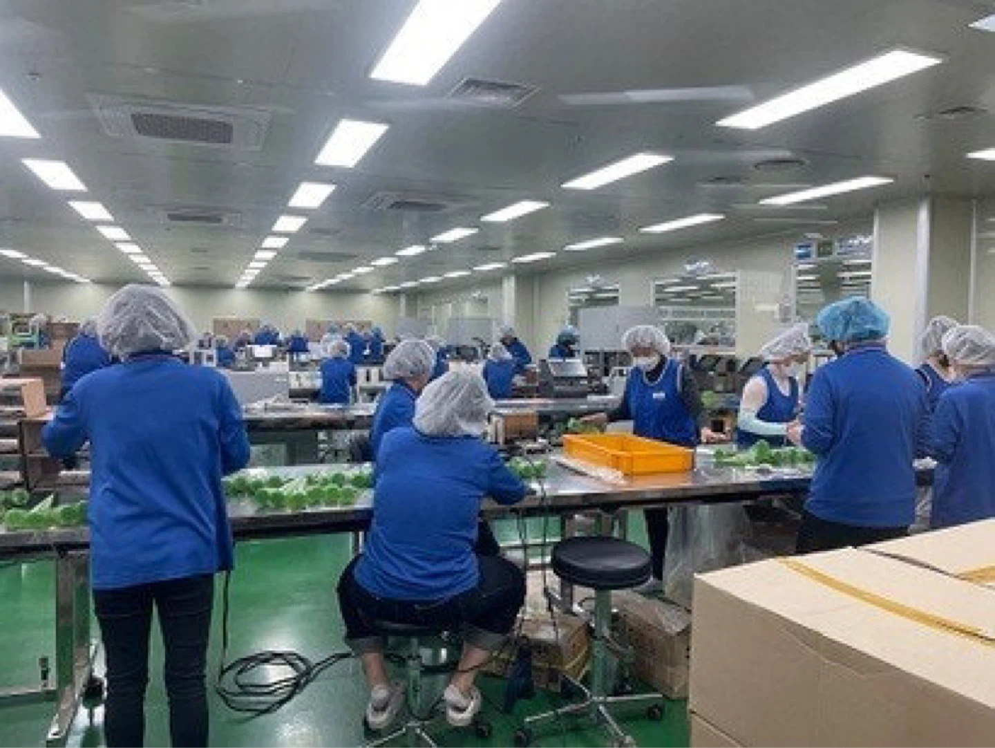 화성 마도 화장품 포장업무 주간인원 급구!!