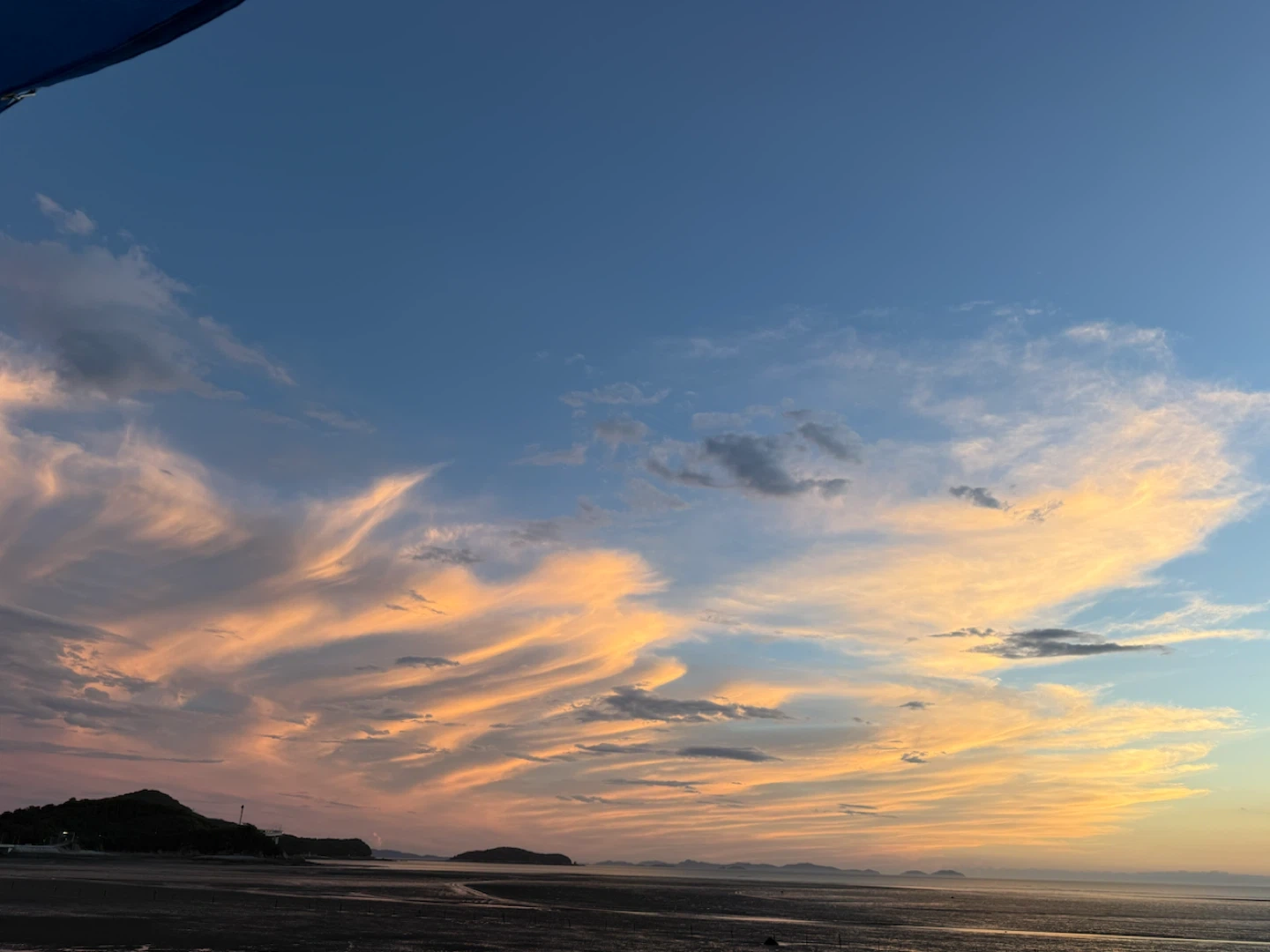 당일 주방 보조 구합니다