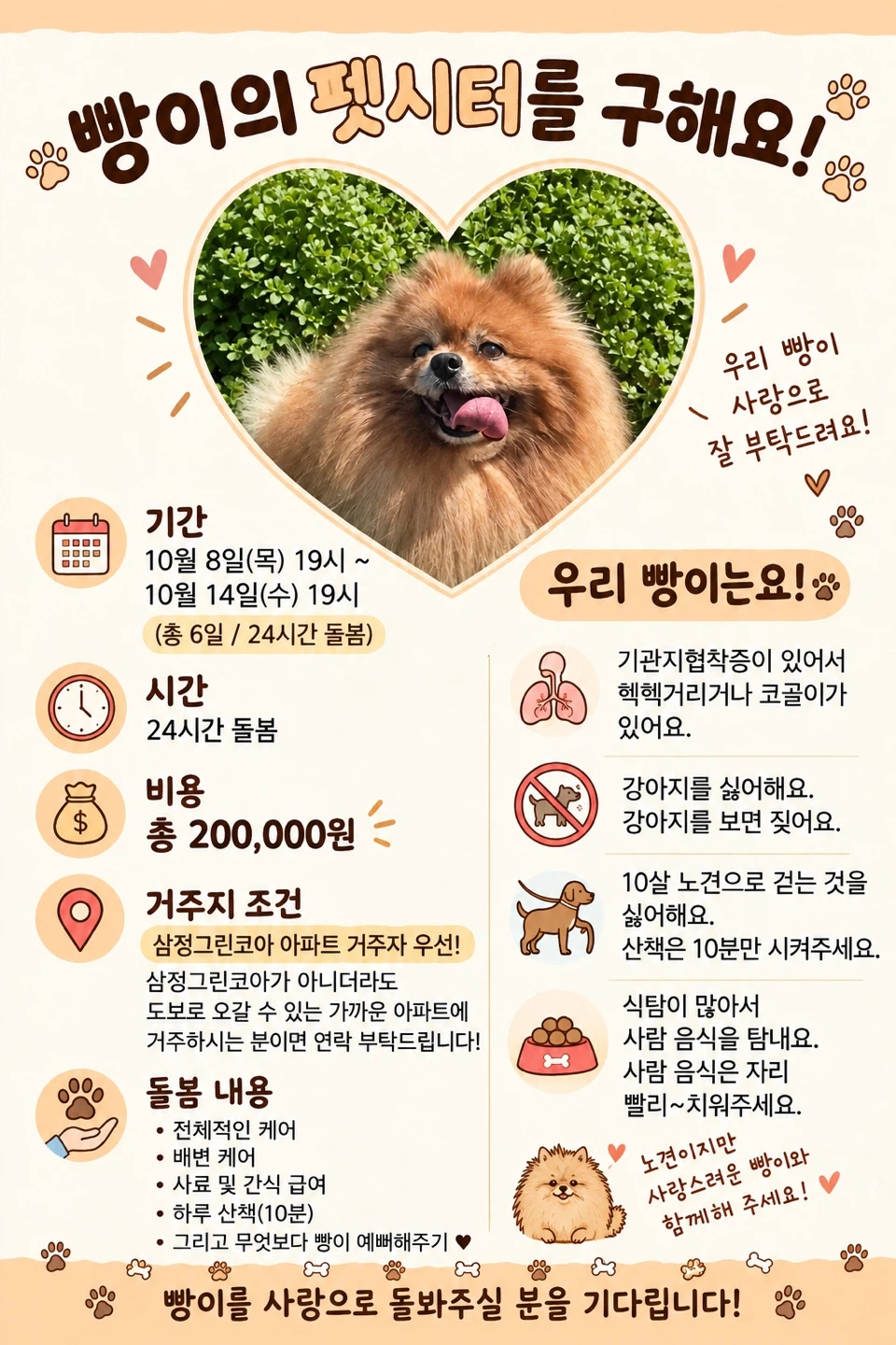 애견 돌봄 6일간 (10월 8일~14일)