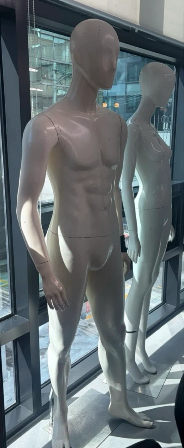 마네킹 실어서 날라주실 분