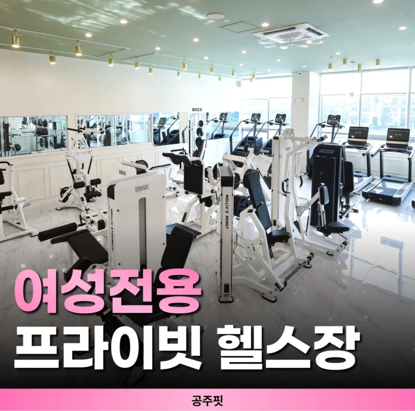 내포헬스장 공주핏 트레이너,인포선생님 채용공고