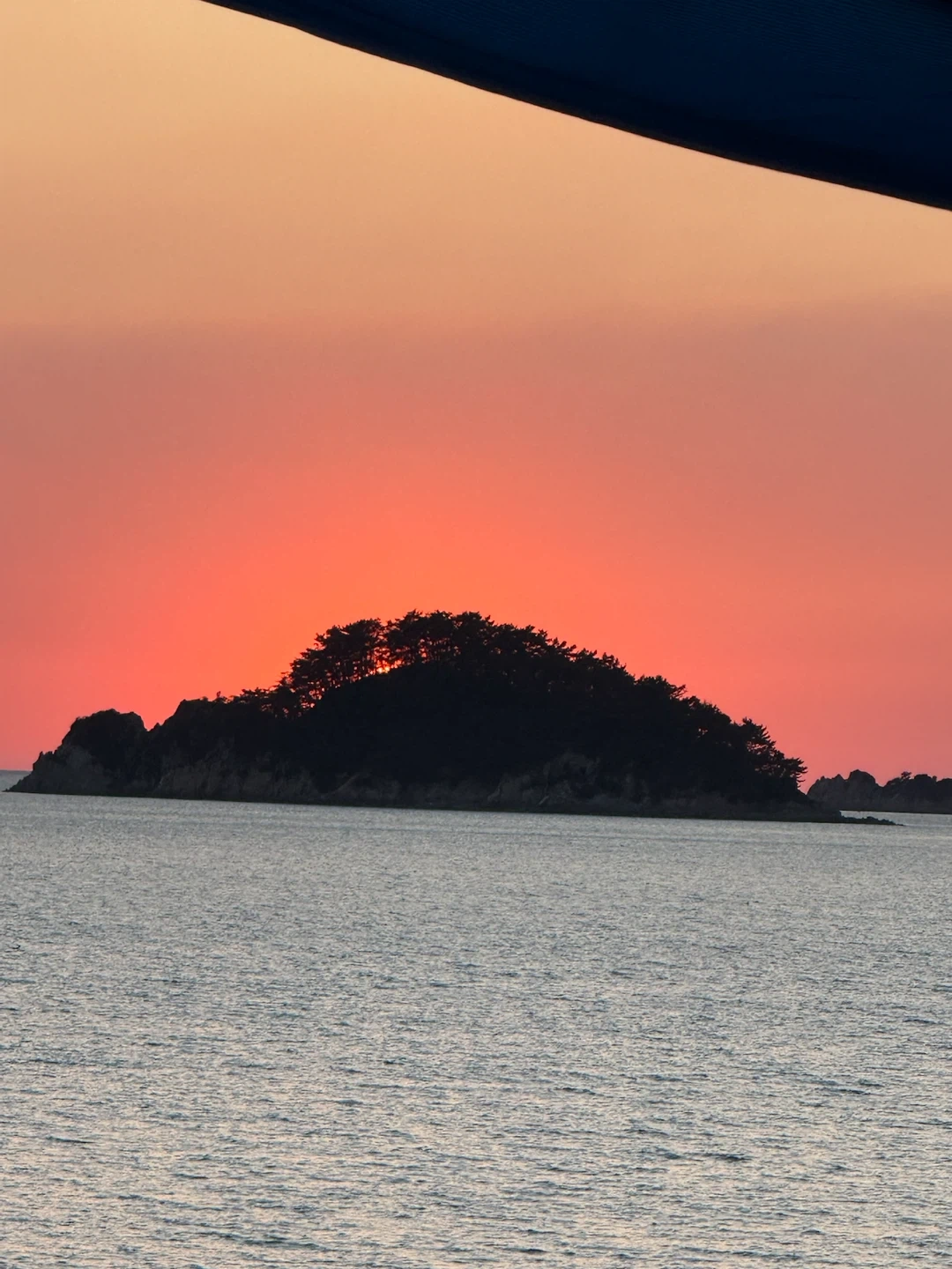 당일 주방 보조 설거지구합니다