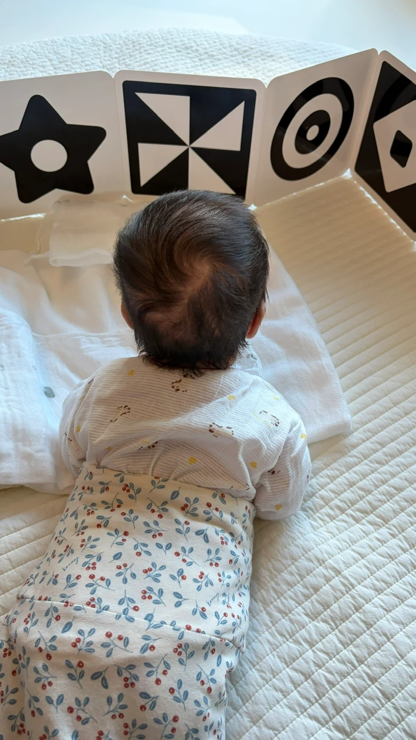 3개월차 순둥이 여아 돌봐주실 분 구합니다~!