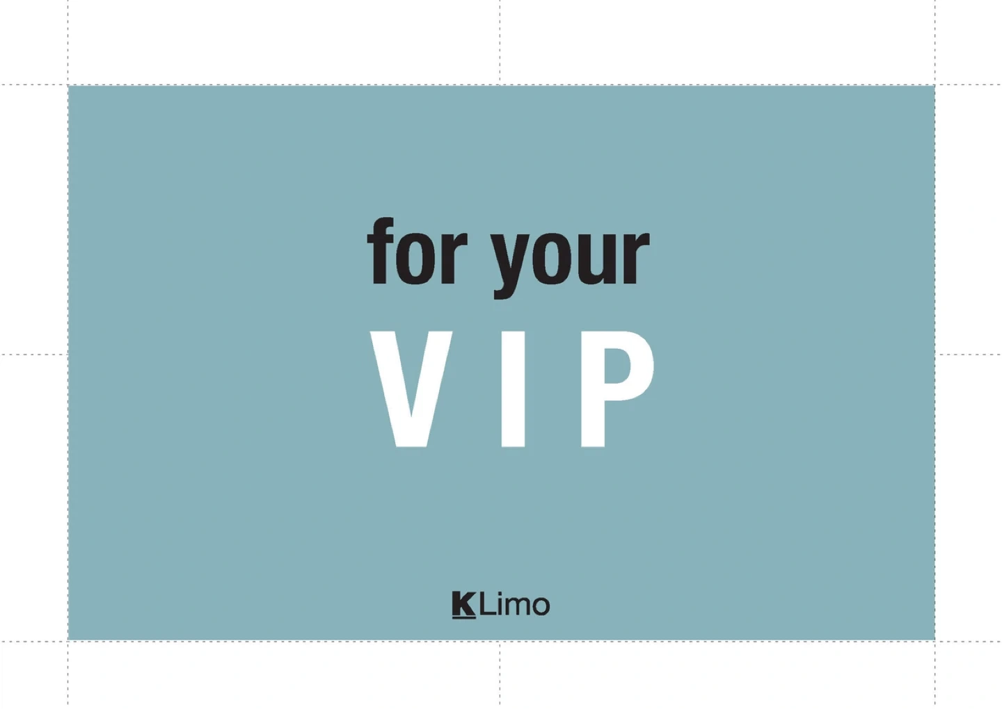 VIP 의전 수행 드라이버 모집