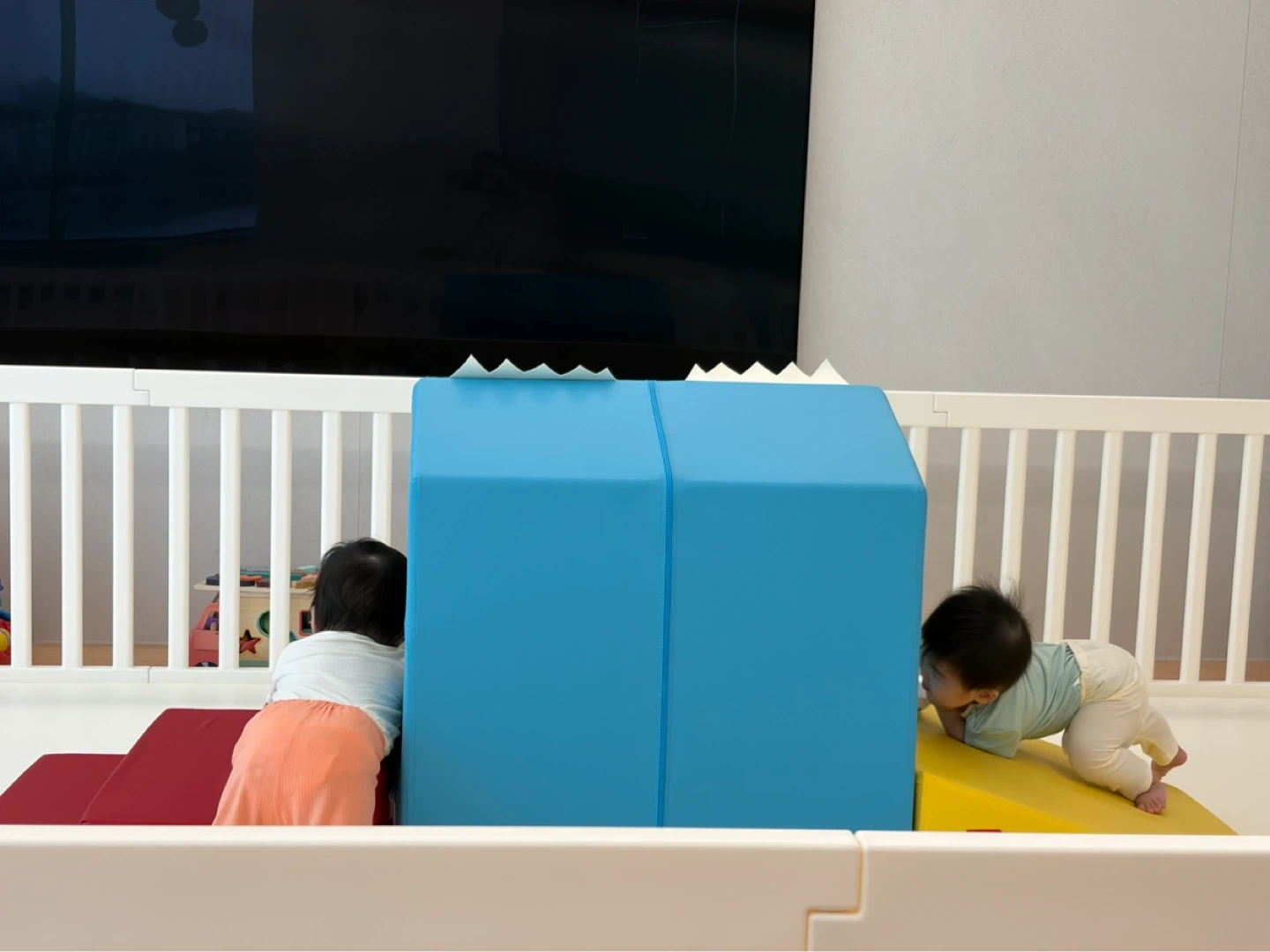 9개월 남아 쌍둥이 따뜻하고 안전하게 돌봐주실 분