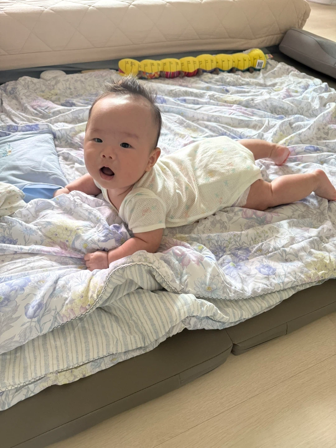 4개월 남아 관리사님 구합니다
