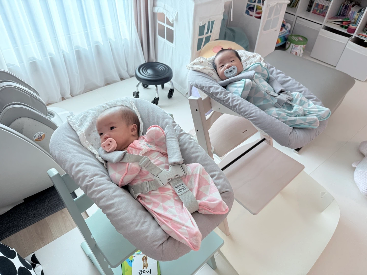 쌍둥이 주중 출퇴근이모님 모십니다