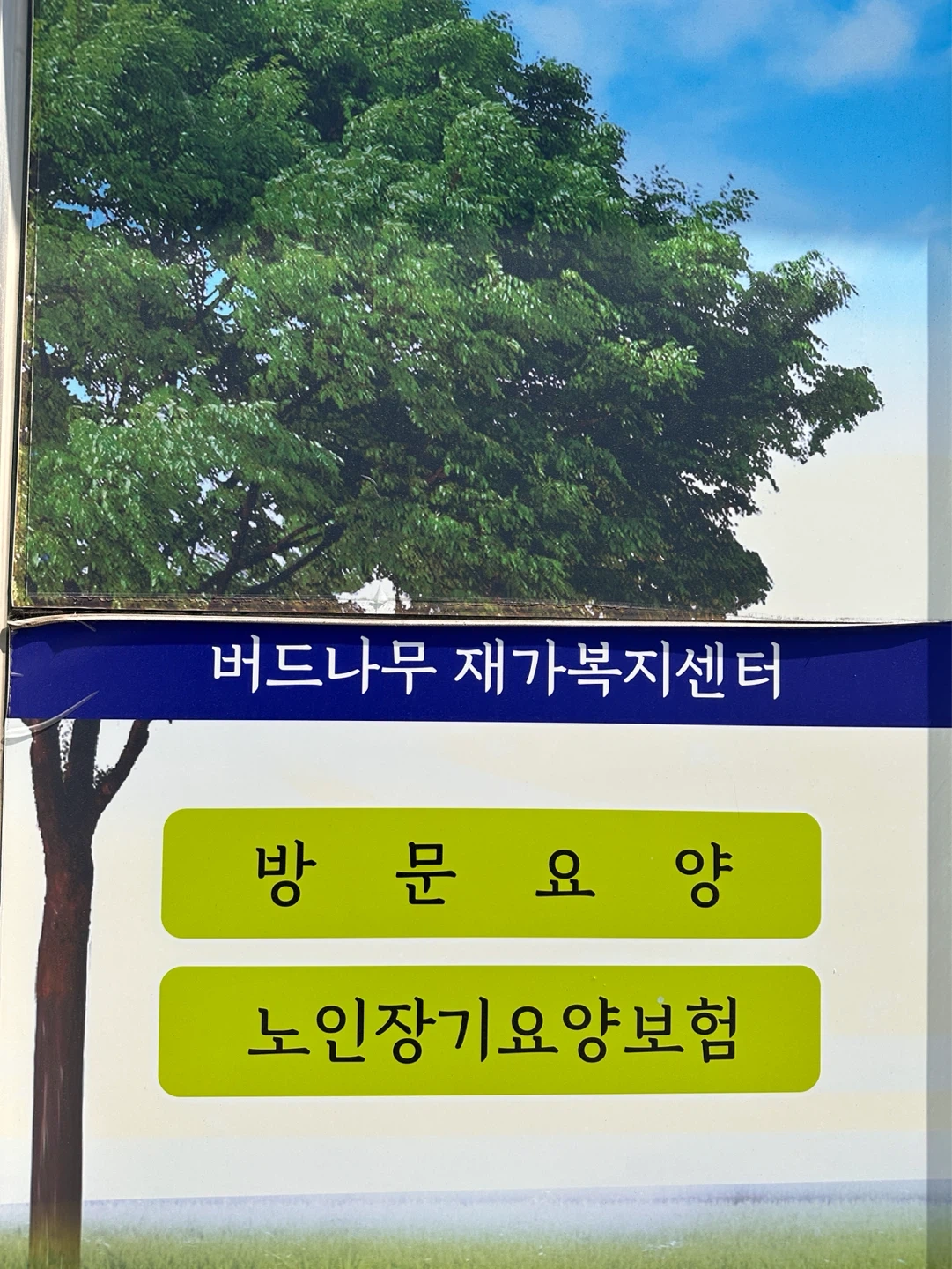 효자동 뷰티빌 요양보호사 선생님 구합니다