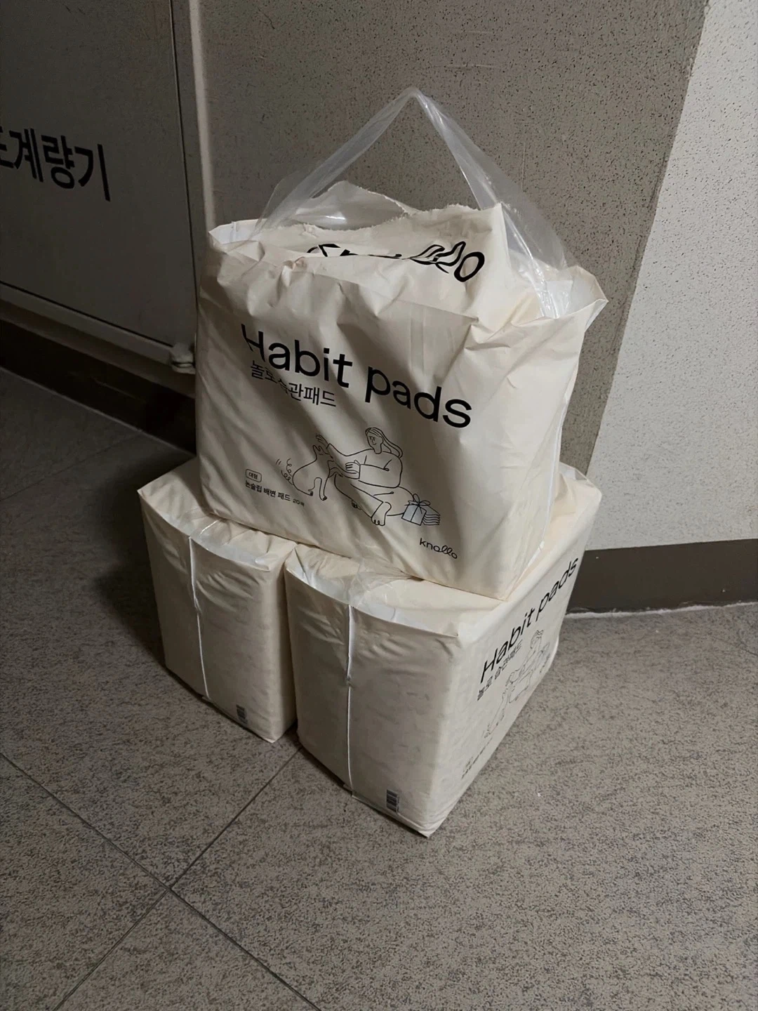 상계역-창동송도갈비 강아지패드 당근한거가져다주실분