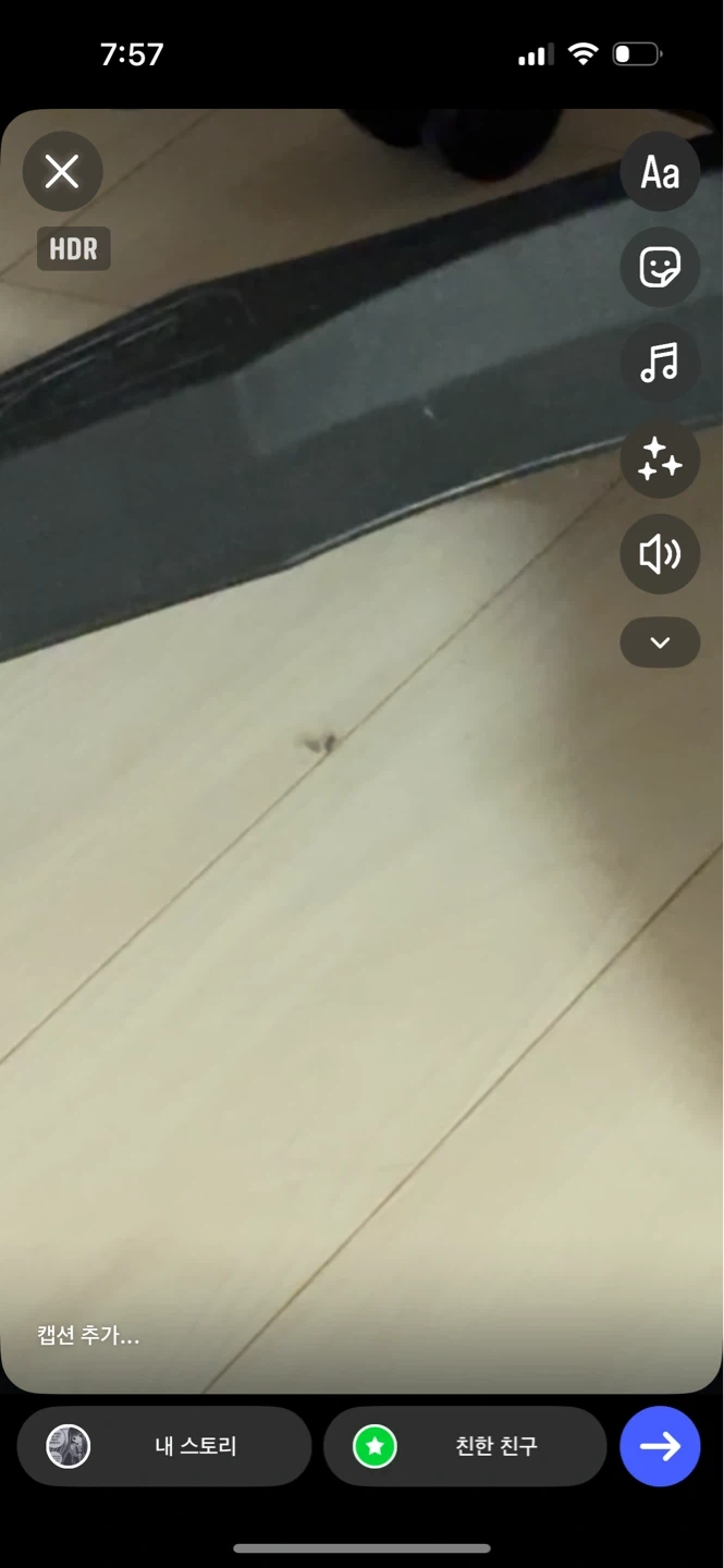 벌레 잡아주실분