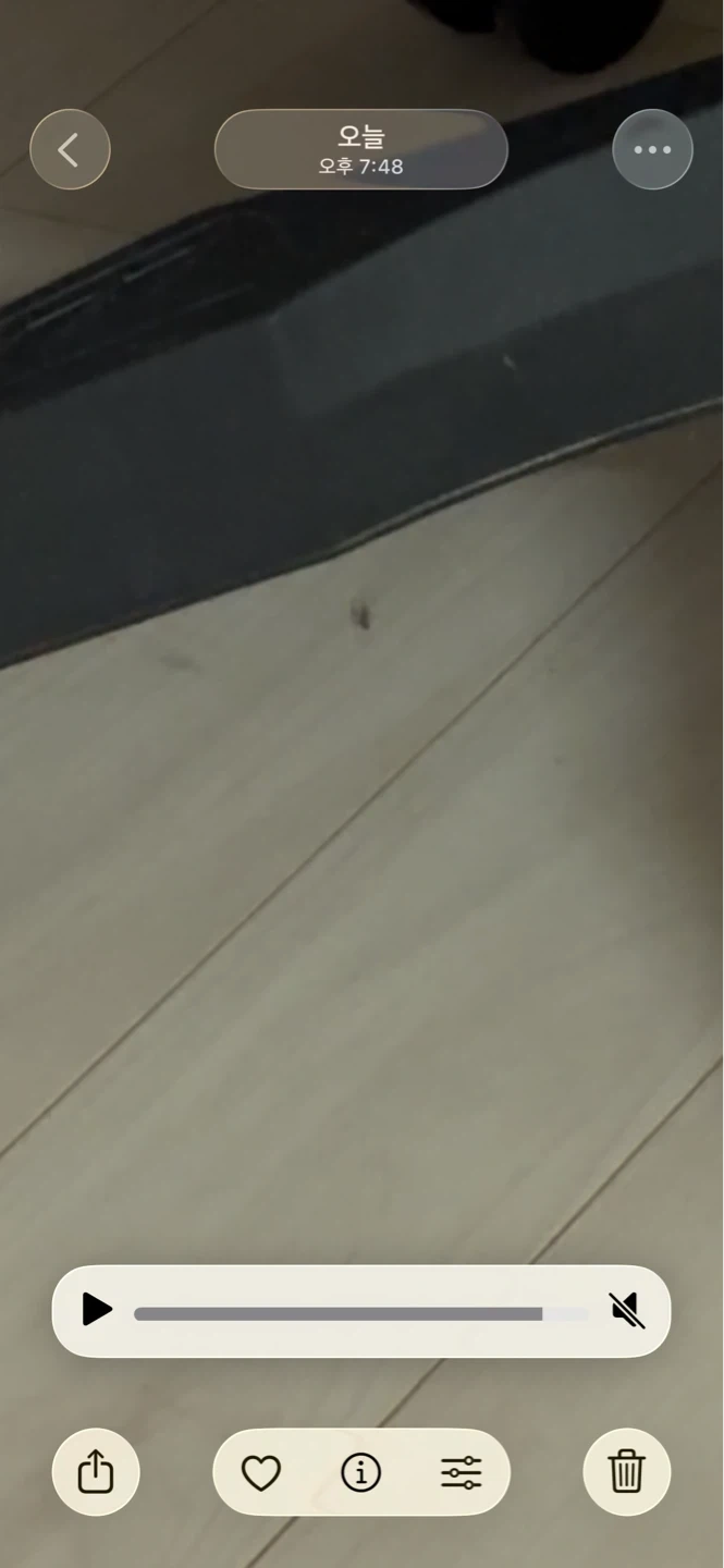 벌레잡아주실분 바로계좌이체 해드릴게요