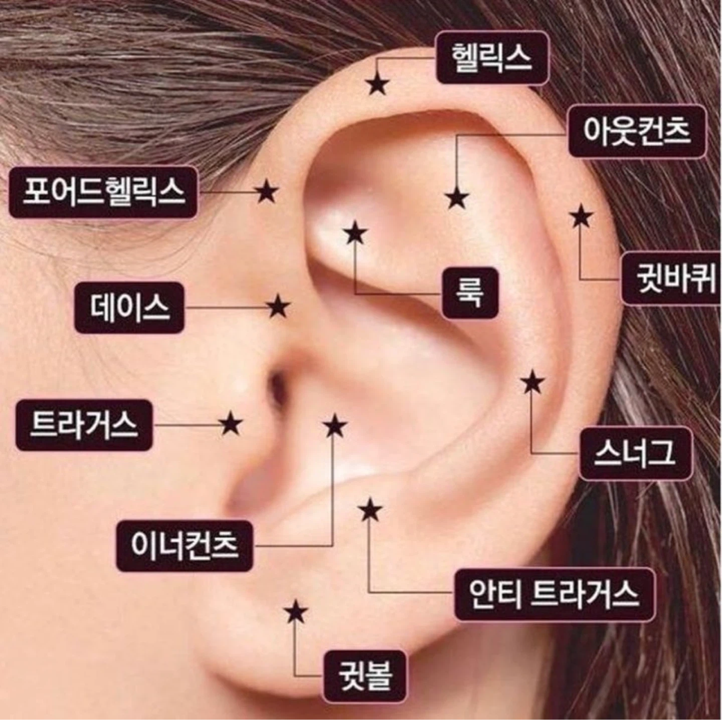 트라거스 피어싱 끼워주실분