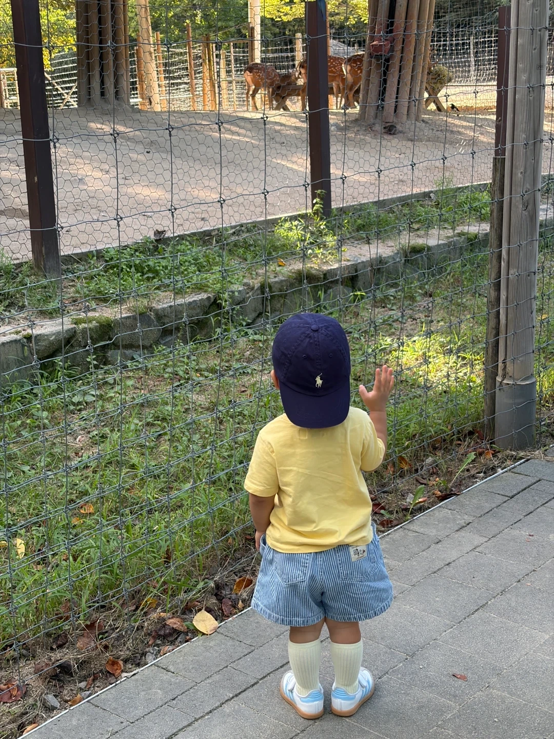 25개월 남아 하원 도우미 모십니다